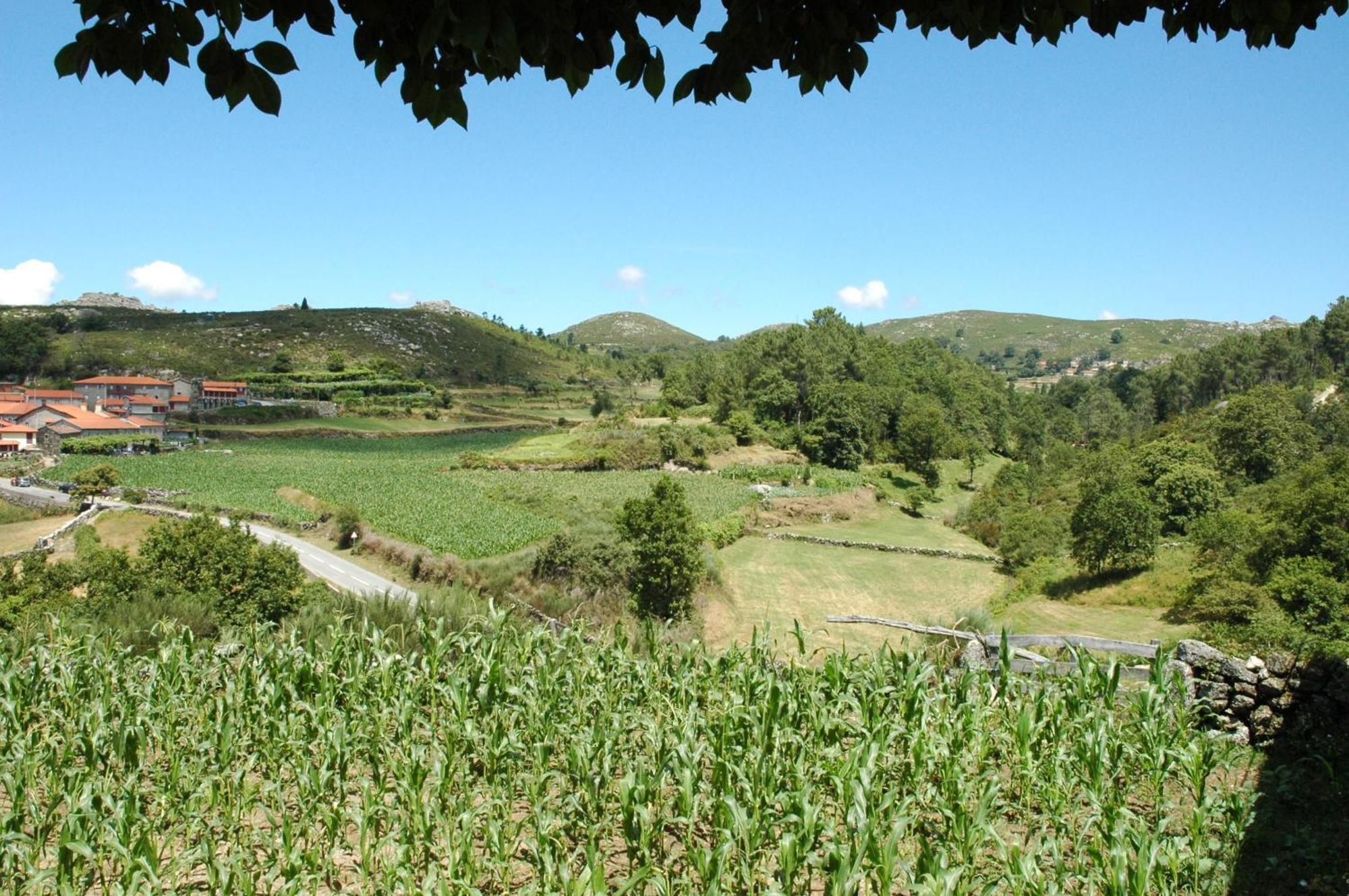 Casa De Campo Monte Abades 테라스 드 부로 외부 사진
