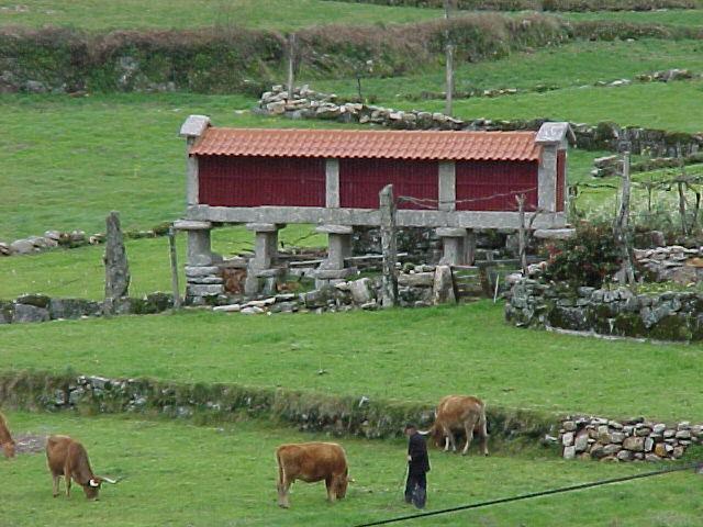 Casa De Campo Monte Abades 테라스 드 부로 외부 사진